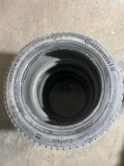 Continental Contact. ������, ����������, �/�, ����� 50 % ����