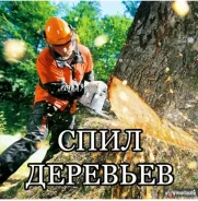 ���� �������� ��������� ������� ���������� ���������� ���������� ����