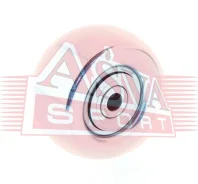����� �������� ��������� ������������ Asva TYBP046 TYBP046 ����