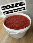 ���� �������. ����