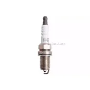 ����� ��������� OE014T10 ����