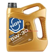 NGN Efficiency