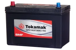 Tokamak. 125��.�., D31, 830��., ��������, ������������ ����� ����