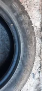Streamstone. ������, ��� �����, 2022 ���, �/�, ����� 5 % ����