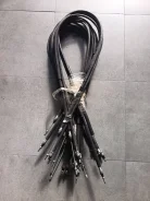 ����� ������� ���� ������ ����� ����