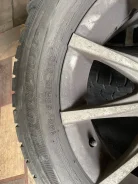 Winmax. ������, ����������, 2024 ���, �/�, ����� 15 % ����