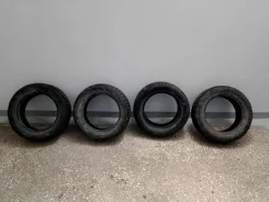 Nordman 5. ������, ��� �����, �/�, ����� 40 % ����