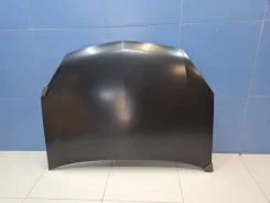 ����� Opel Signum 2003-2008 [1160255] 1160255 ����