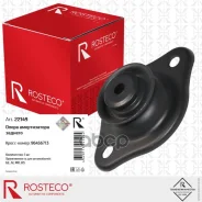 ����� ��������������� ������ Rosteco ���. 22149 22149 ����