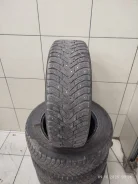 Nordman 8. ������, ����������, 2023 ���, �/�, ����� 15 % ����