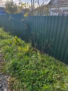 ������ ������� 11 ��� � ������ �����������. 1 100���.��., ������ �������, ������������� ����