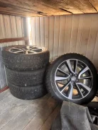 Blacklion W517 Winter Tamer. ������, ����������, 2023 ���, �/�, ����� �� 5 % ����