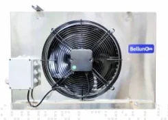 Belluna