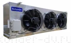 Belluna
