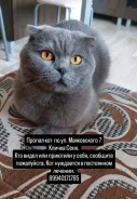 �����. ����