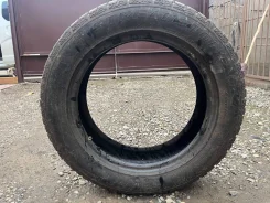 Streamstone. ������, ��� �����, 2022 ���, �/�, ����� 10 % ����