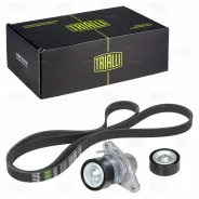 ����������� �����. (1 ������ 6PK1822 + 2 ������) Trialli GD717 GD717 ����