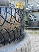 NorTec WT-590. ������, ��� �����, 2020 ���, �/�, ����� 70 % ����