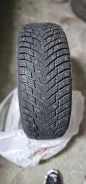 ZMax Winternova Stud II. ������, ����������, 2024 ���, ����� ����