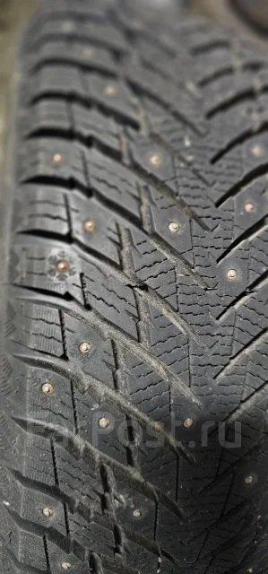 ZMax Winternova Stud II. ������, ����������, 2024 ���, �����. ��������� ����