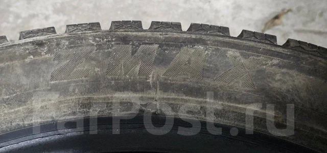 ZMax Winternova Stud II. ������, ����������, 2024 ���, �����. �������� ������ ����
