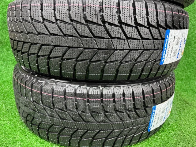 Triangle Snowlink PL01. ������, ��� �����, 2026 ���, ����� ����