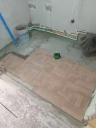������ ������� ����