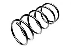 ������� ������� ����� ������ ����� ��� FORD Focus, Volkswagen POLO 1.3 standard-springs st110030f ST110030F ����