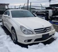 Mercedes-Benz CLS-Class. WDD2193562A, M272.964 ����