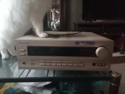 Pioneer ����
