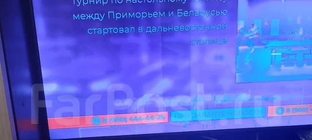 Irbis. LED ����