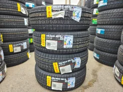 Hilo Arctic S8. ������, ��� �����, 2026 ���, ����� ����