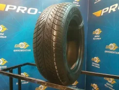 Goodyear UltraGrip Performance 2