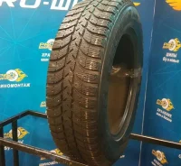 Bridgestone Ice Cruiser 5000