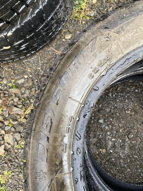 Saferich FRC79. ������, ��� �����, �/�, ����� 10 % ����