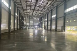 ������ ������������ ��������. ����
