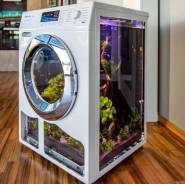 �������� ���������. ����. ��� ����� �� ���������� ����