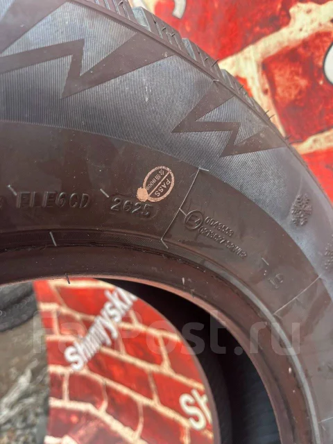 ZMax Winternova Stud II. ������, ����������, 2025 ���, ����� ����