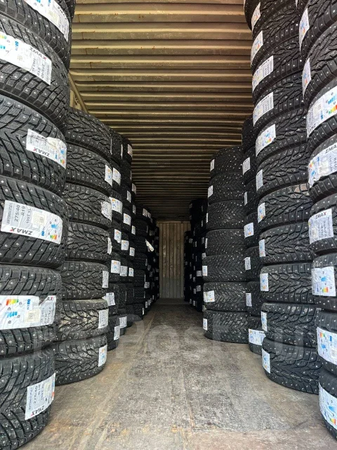 ZMax Winternova Stud II. ������, ����������, 2025 ���, ����� ����