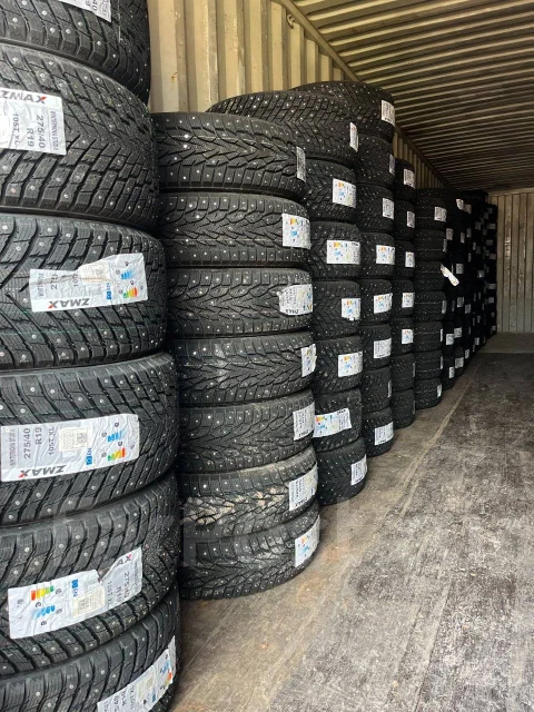 ZMax Winternova Stud II. ������, ����������, 2025 ���, ����� ����