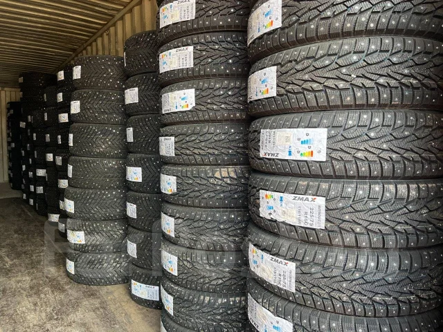 ZMax Winternova Stud II. ������, ����������, 2025 ���, ����� ����