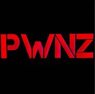 .   .   PWNZ.   2 