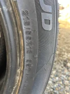 Compasal Winter Stud. ������, ����������, 2024 ���, �/�, ����� �� 5 %. �������� ������ ����