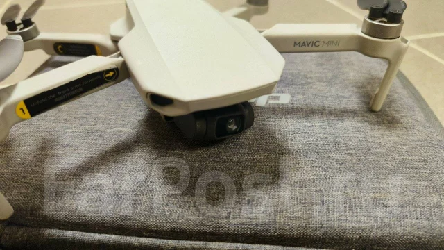 DJI Mini SE. � ������� ����