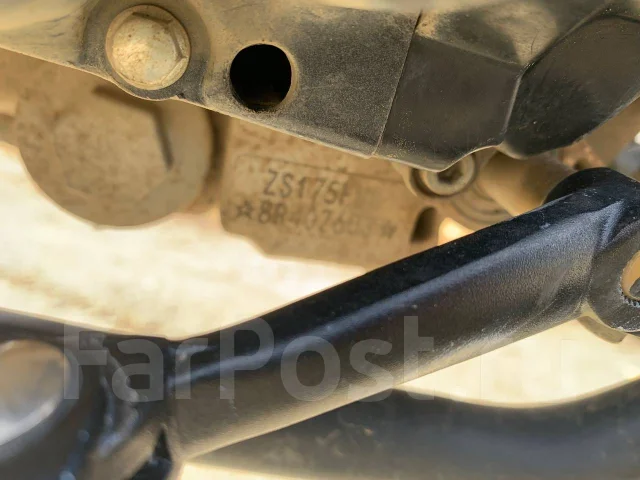 Xinguizun GTS-PR300. 300����. ��., ��������, ��� ���, ������ �� �� ����