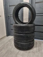 WinRun Ice Rooter WR66. ������, ����������, 2021 ���, �/�, ����� 5 % ����