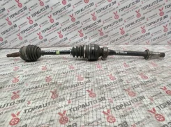 ������ Toyota Windom, 2MZ-FE, MCV21, ������ �������� 4341033200 ����
