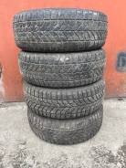 Bridgestone Winter Radial WT-17. ������, ����������, �/�, ����� 50 % ����