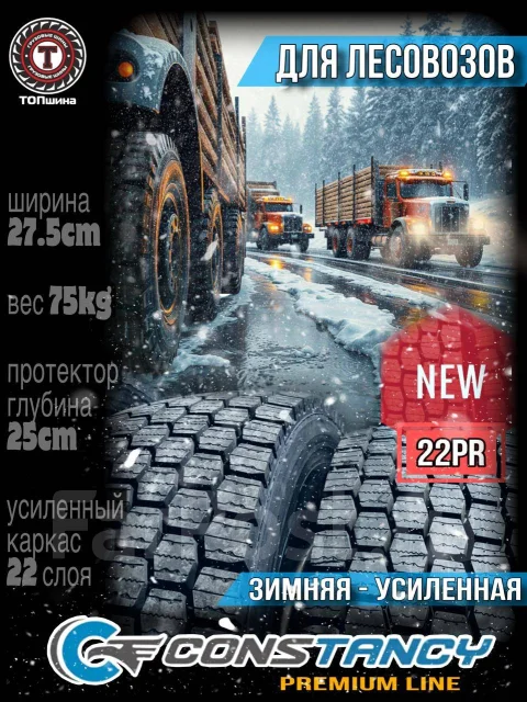 Constancy DM59. �����������, 2026 ���, ����� ����