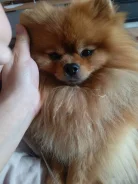 ����� �����. ����